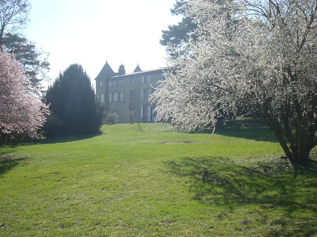 Bed and Breakfast Chateau De Bourrassol Menetrol Zewnętrze zdjęcie